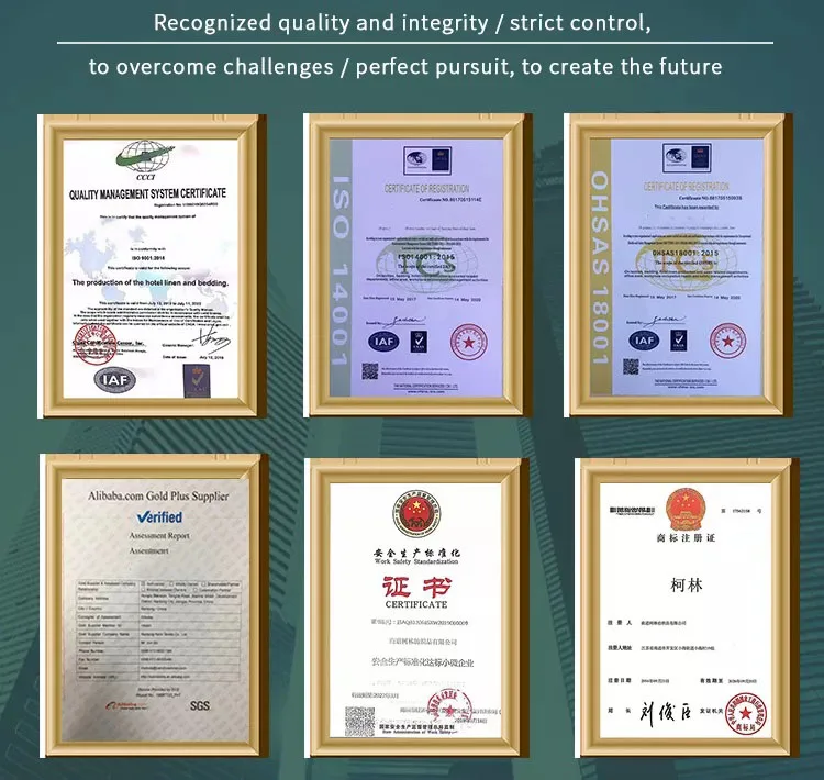 certificate.jpg