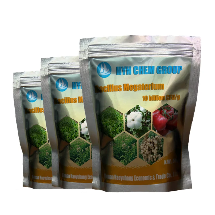 Bio fertilizer Bacillus Megaterium 10 billion CFU/g Soil Conditioner