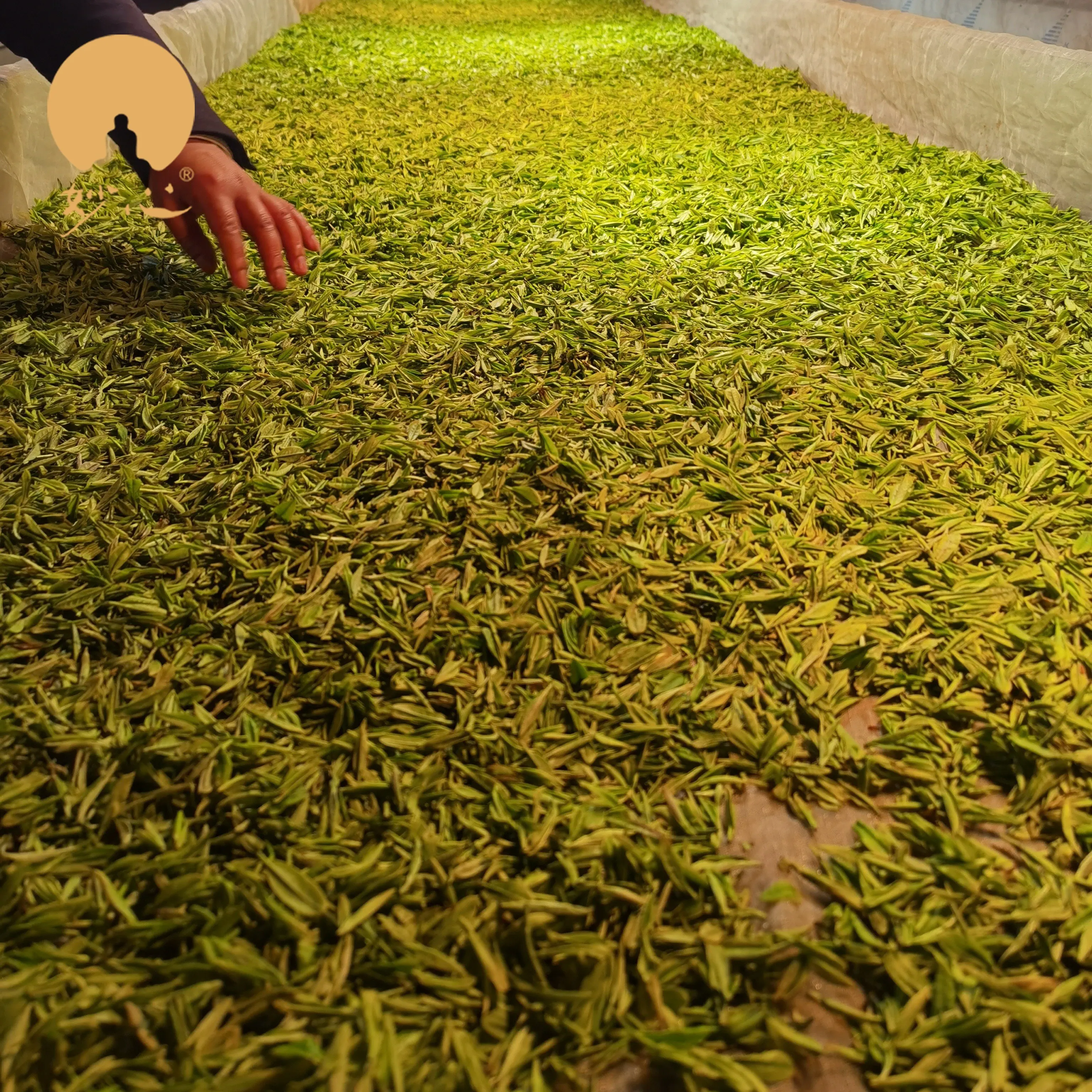 The Taste of World Champion-   Miaopin Premium Organic Dried Black Tea  Loose Leaf Health Tea Fermented Slimming Tea