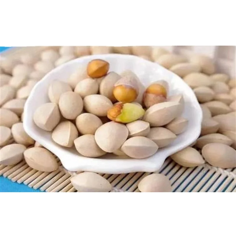 Origin bulk ginkgo Ginkgo raw materials primary color ginkgo