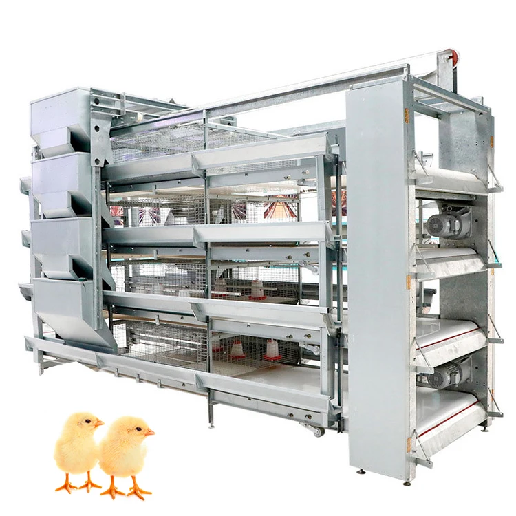 Poultry Farm Multi Tiers Galvanized Welded Wire Baby Chick Pullet Chickens Cage With Automatic Manure Cleaning System