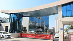 automatic bollards price