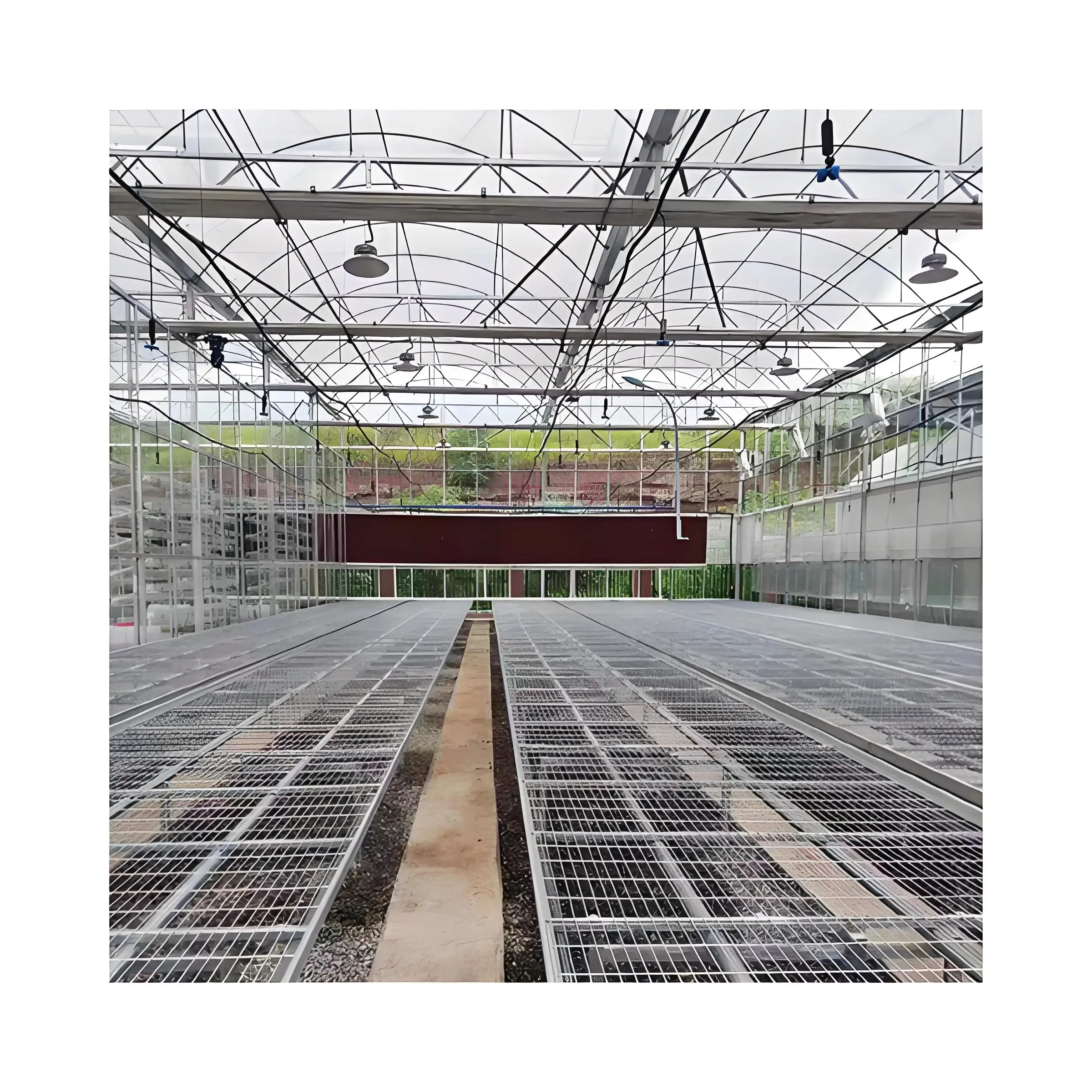 Modern Style High-Efficient Agricultural Greenhouse Hydroponic Growing System for Seed Raising  Glass Green house