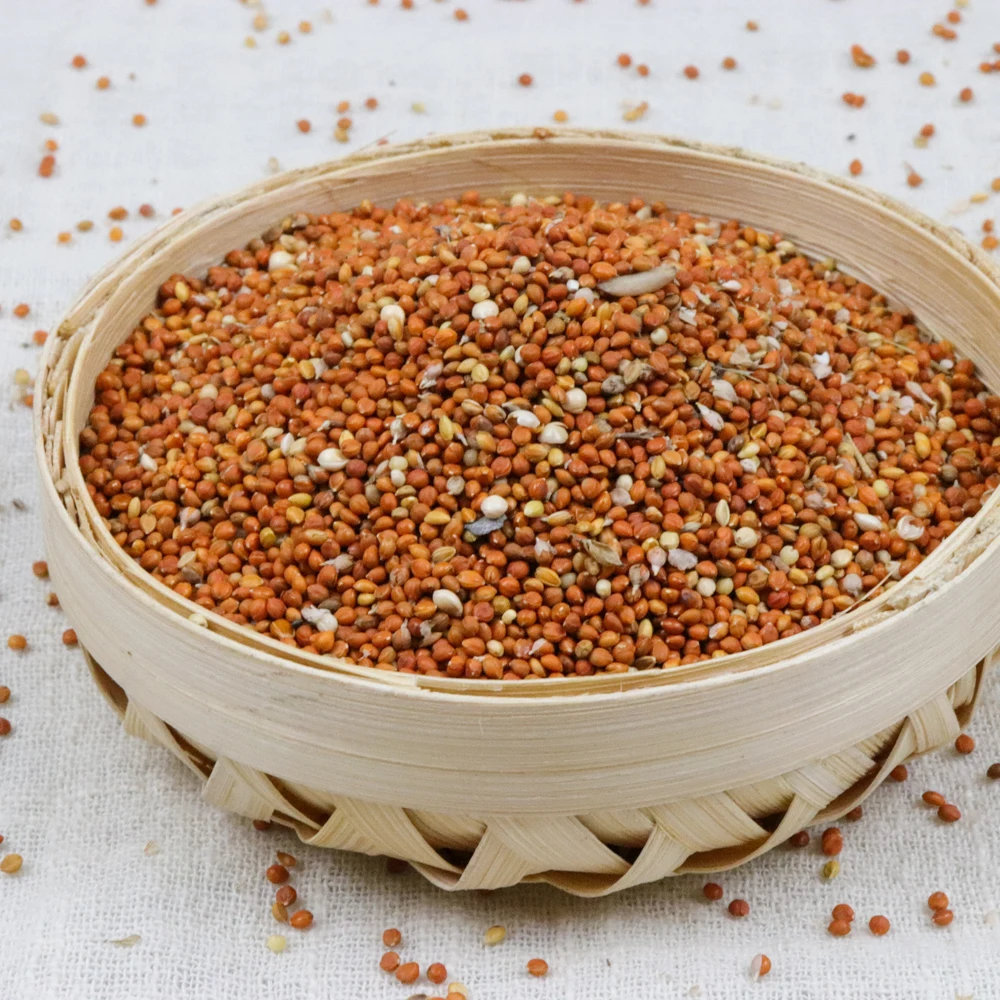 
Export Chinese Natural Organic Red Millet For Bird Food 