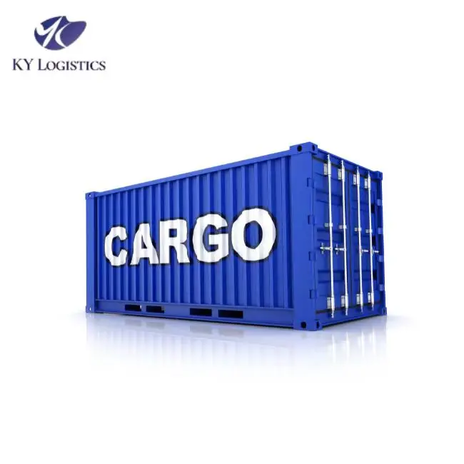 Lome Shipping Agent Sea Freight Cargo Service from China to  Sea Shipping Agency DDP Logistics