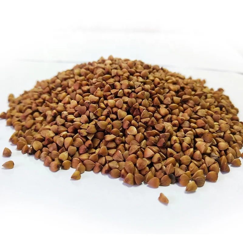 
Roasted Buckwheat from China 