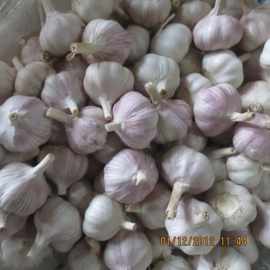 Новинка, Цена Чеснока в 2023 году, с чесночной фабрики в Китае