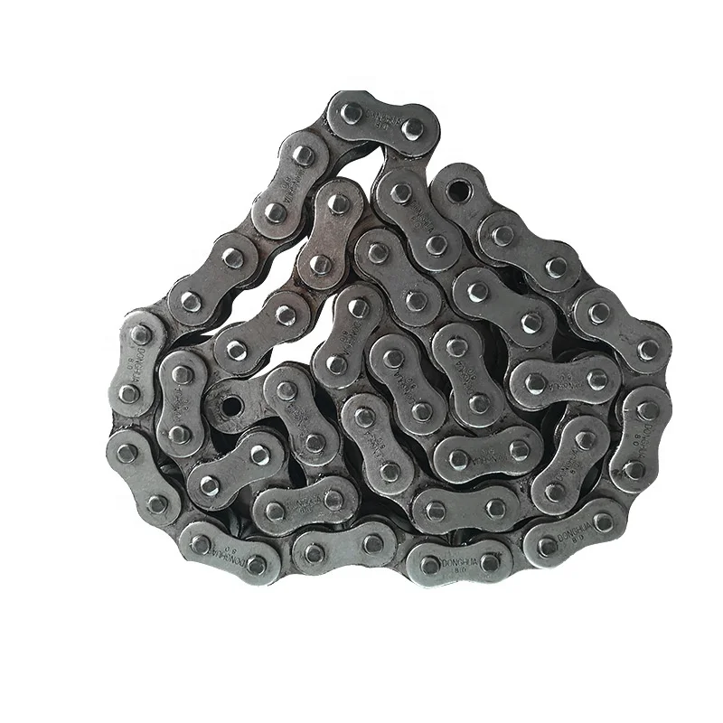 Roller Chain Transmission