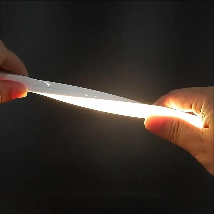 Manufacturer Luces mini 3*6 Led Neon Strip Lights Pc