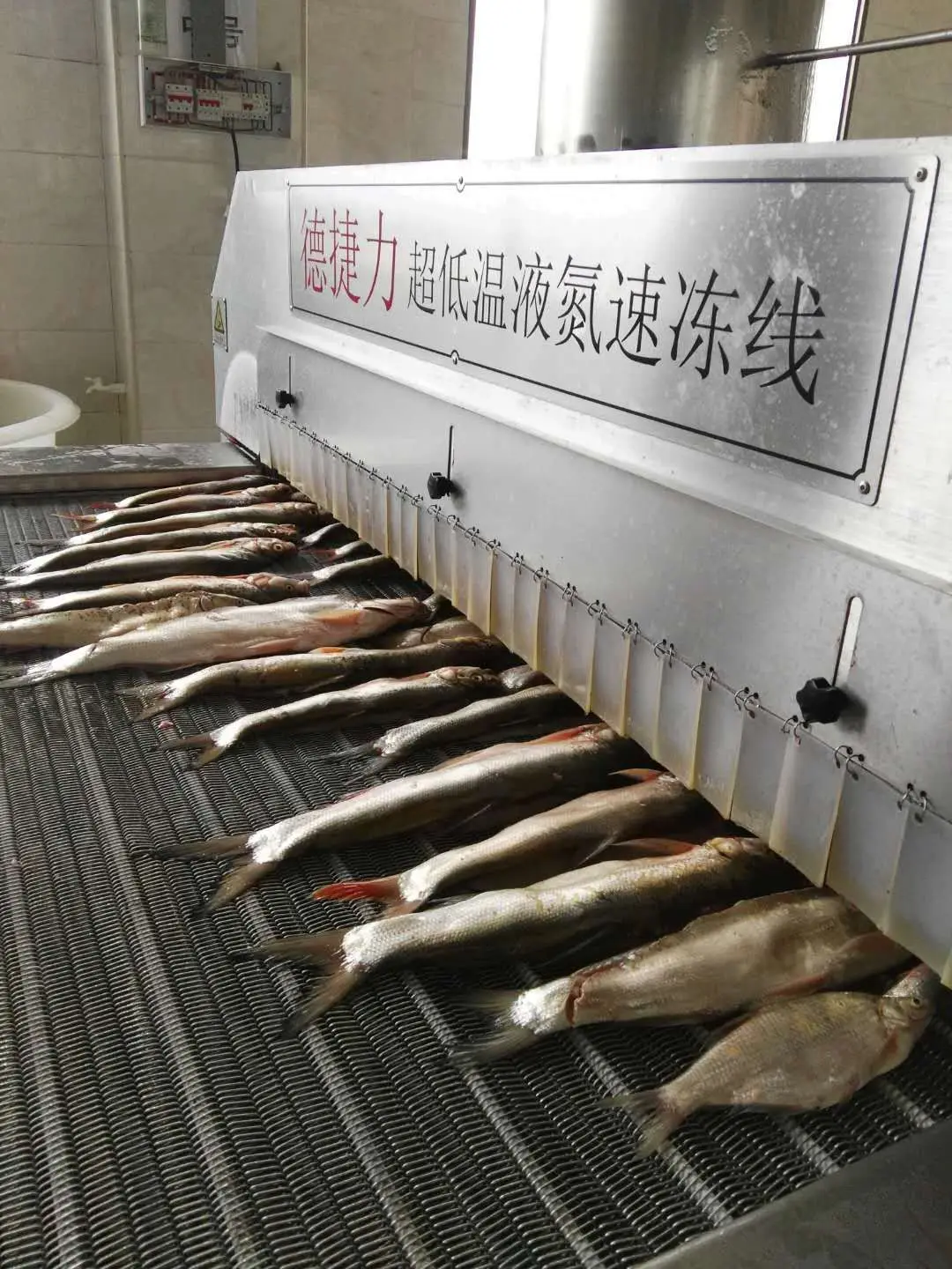 Cryogenic Liquid Nitrogen Freezing Equipment Price Iqf Freezing  Freezer For Food Pork Meat Steak