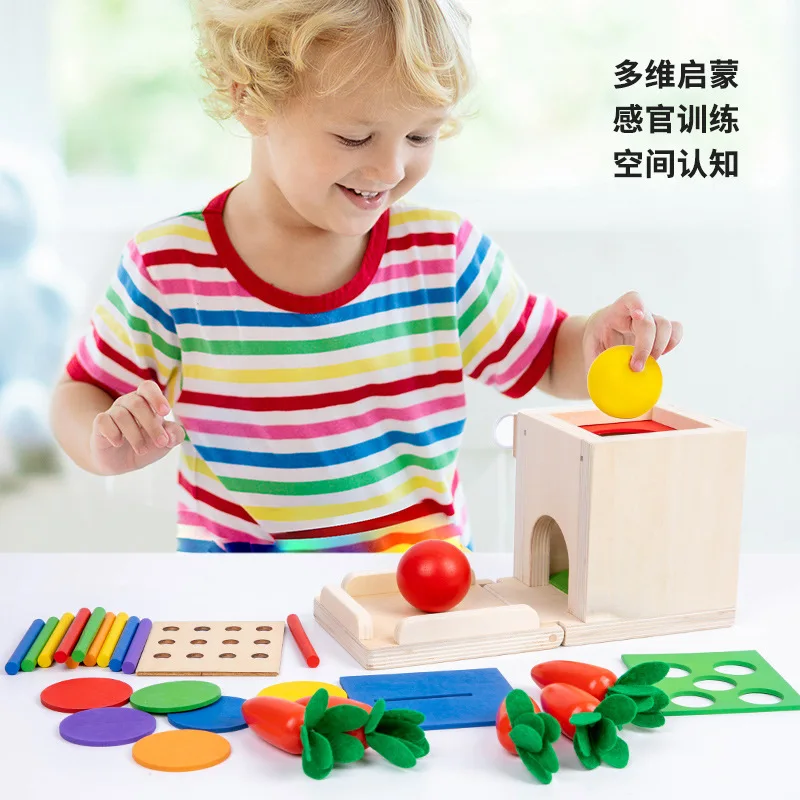 4-in-1 Object Permanence Box Coin Box Carrot Harvest Color Match Sticks Drop Game Wooden Montessori Motor Skill Toys for Toddler