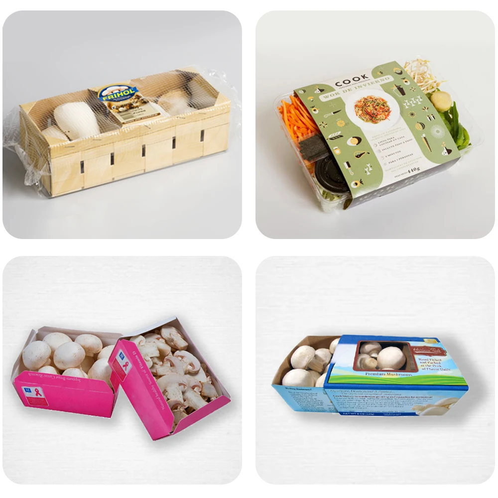 Customized fresh fruit and vegetable paper packaging materials Oyster Mushroom Grow packaging boxes