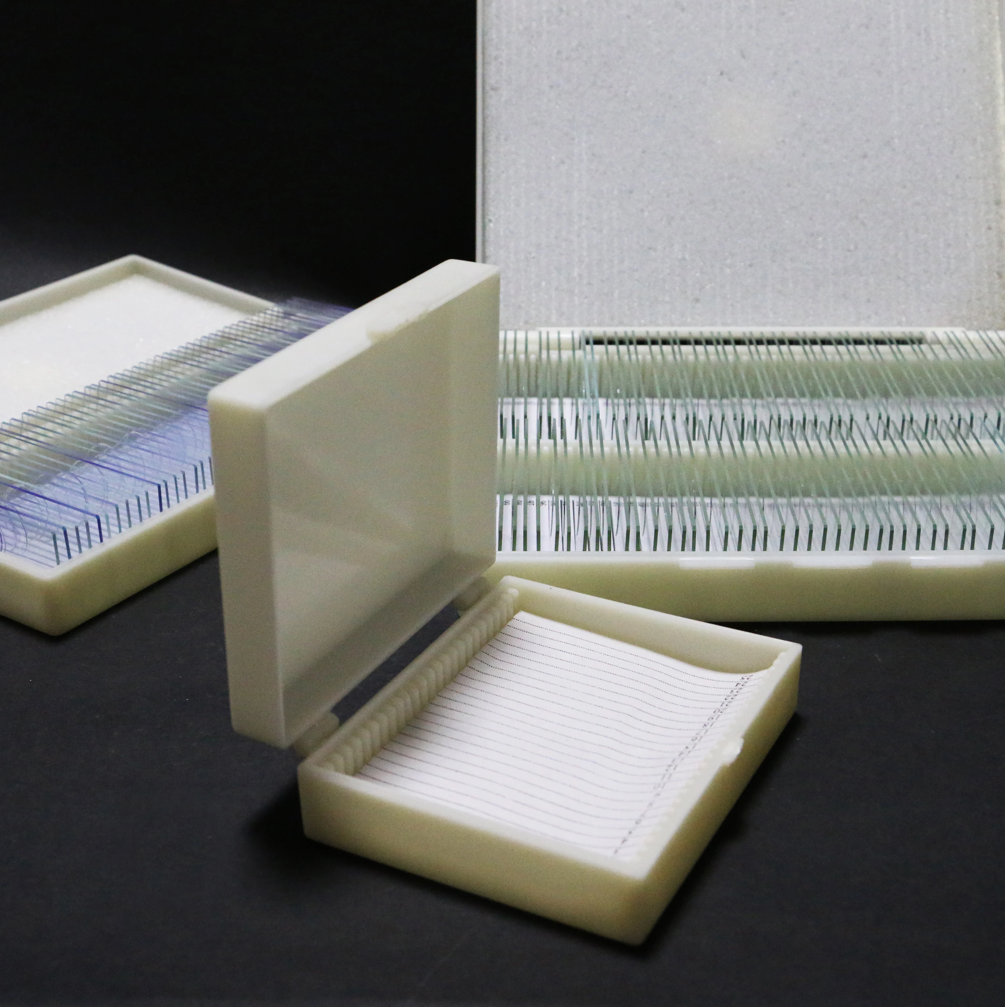 12pcs medical science different medical histology slides set with microscope slides with educational equipment