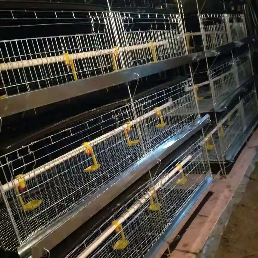 Automatic Galvanized Farm Equipment Livestock Poultry Broiler Chicken Battery Laying Cage with Manure System