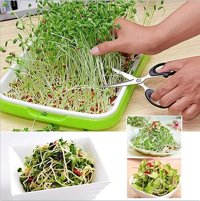 Plastic Seed Sprouter Trays, BPA Free Green Germination Tray, Reusable Nursery Seedling Sprouting Tray