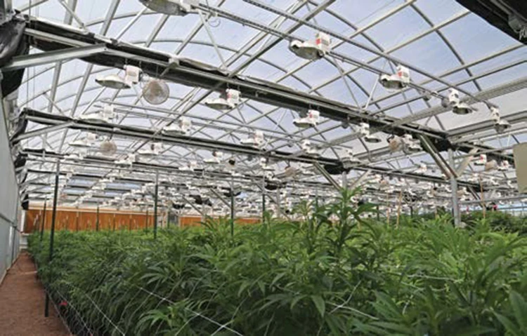 Skyplant Commercial tunnel agricultural Black out Curtain Greenhouse