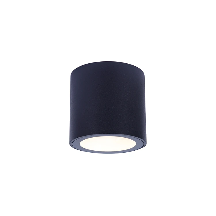 Hot Sell 6W 580lm Aluminium Garden Gate Outdoor Ceiling Surface Mounted Light