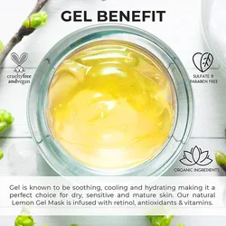 OEM Hydrating Deep Cleansing Anti Aging Antioxidant Organic Vitamin C,B Lemon Vegan Gel Mask with Neem Oil Treats Acne Oily Skin