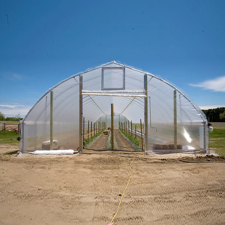 Lean-to Agriculture Greenhouse for tomato invernadero agricola