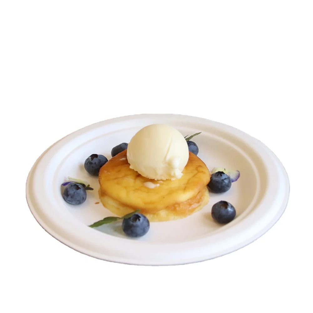 7-Inch Biodegradable Sugarcane Pulp Paper Plate Disposable Compostable round Dish Cake Fruit Lunch Bagasse Container
