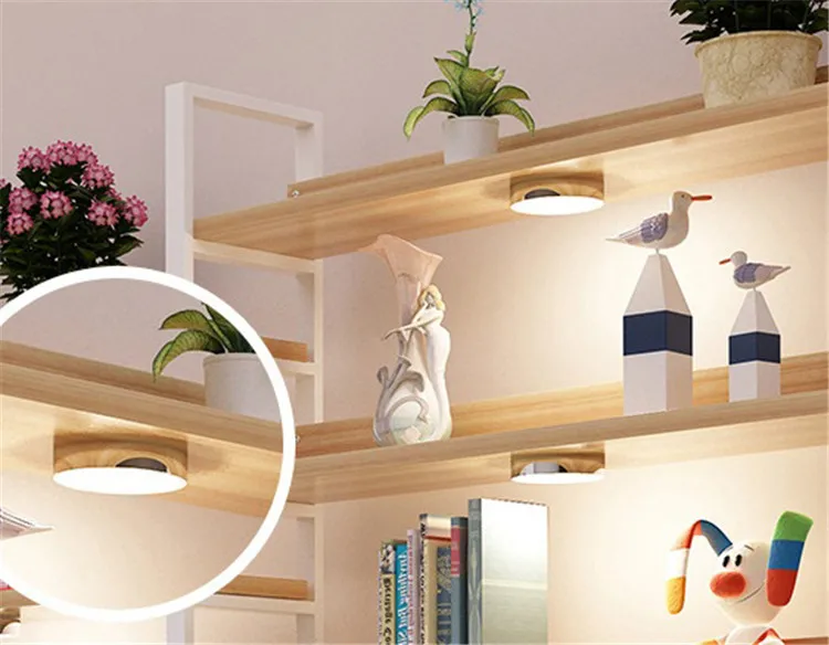 Wooden Book Shelf & Display Cabinet For Sale