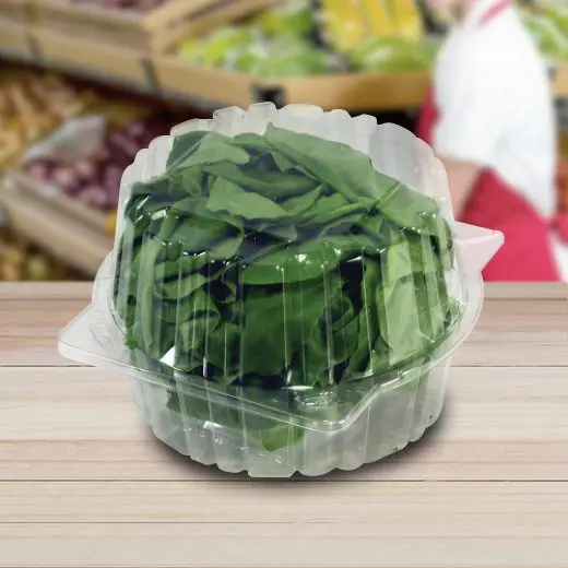 Hoagie Hinged Container Container Hinge Living Lettuce Plastic Clamshell Packaging For Living Lettuce