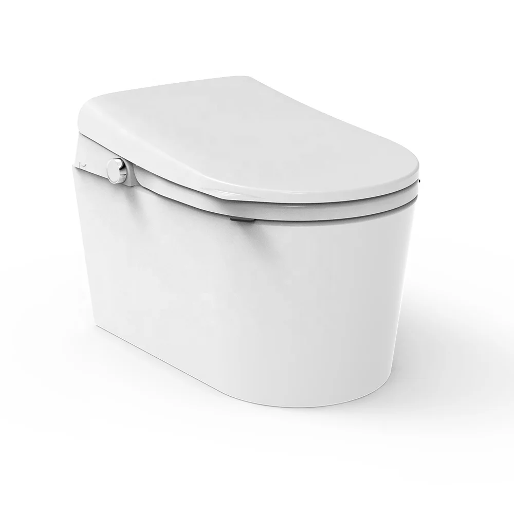 Affordable intelligent bidet seat 220v electronic water washing bidet shower toilet seat