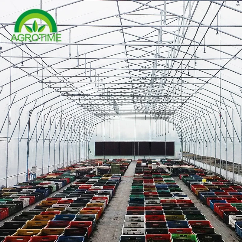 Cheap greenhouse frame tomato low cost greenhouse farming industrial tunnel greenhouse