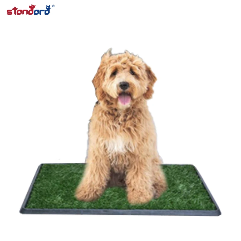 
Ebay hot selling Indoor 20*25 new design customize logo available toilet tray pad mat for dogs light easy to use for European 