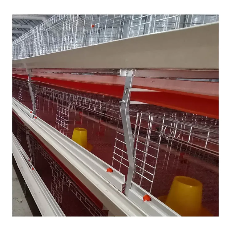 Commercial Farming Poultry Equipment Chicken Farm Broiler Cage H Type Broiler Chicken Cage for Automatic Manure Cleaning