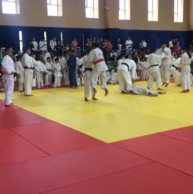 MMA Jiu-Jitsu Kendo Adult Wrestling Made of EVA PU Sponge Tatami Judo Mats with Anti-Slip Bottom 250kg/m3 for Kids Karate