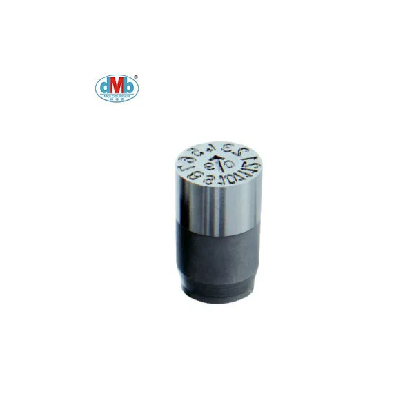 
Customized Precision Injection Mold part replaceable Date Code Inserts 