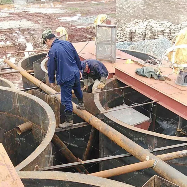 Attractive Price Small Scale Gold Leaching Plant 10Tpd Cip Plant Cil Plant