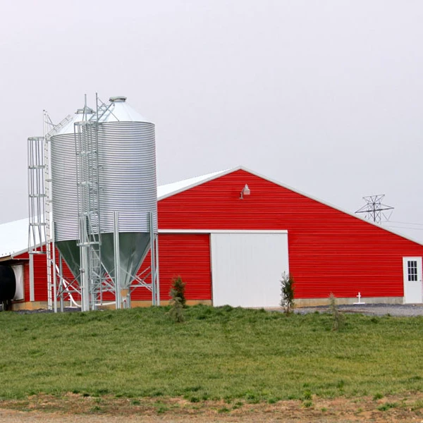 
Дизайн домика для птицефермы 