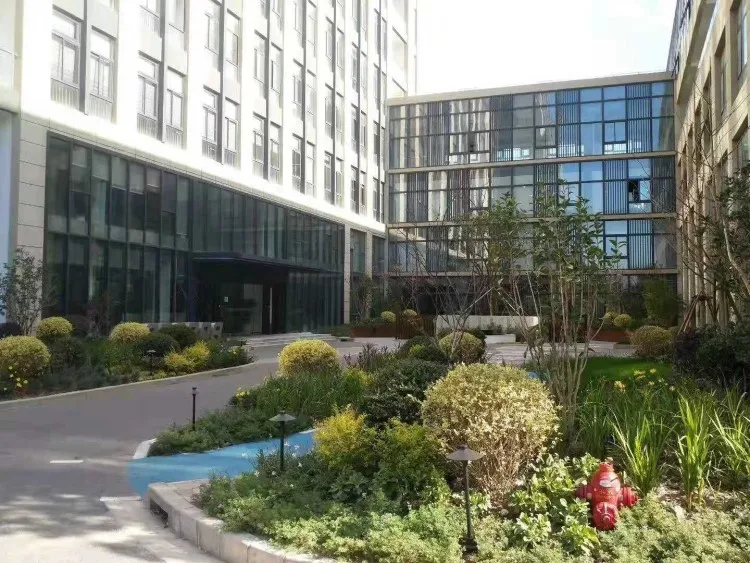 Behome Collection  750.jpg