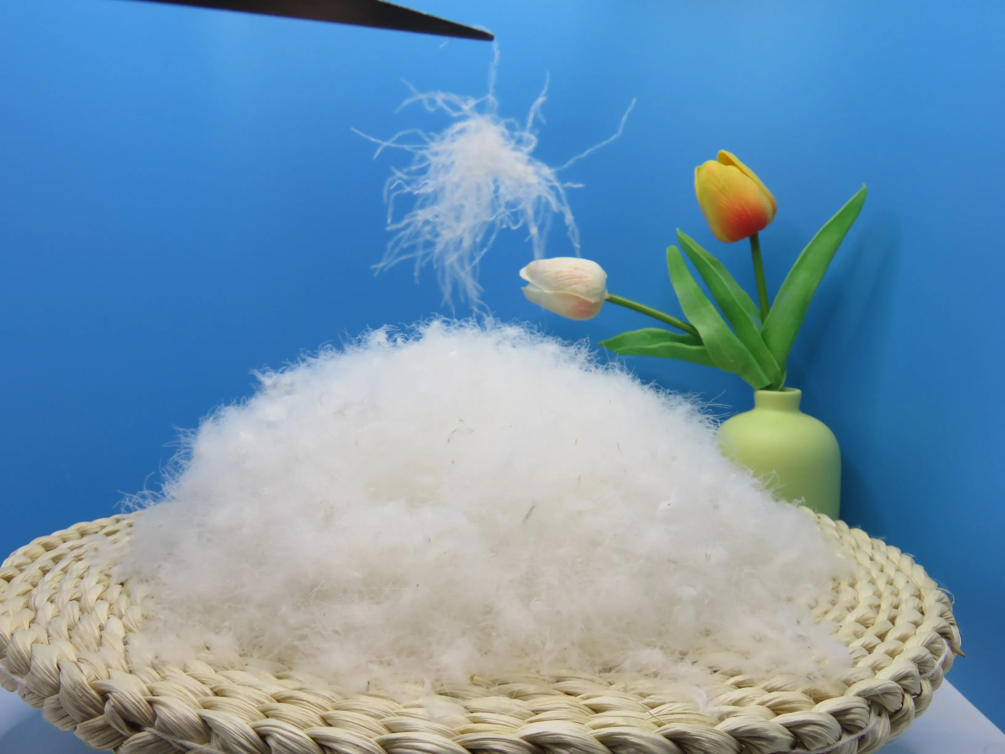 70% White Duck down Feathers Natural and Washed Product