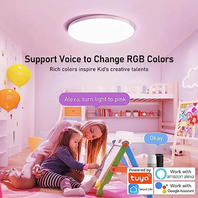 Nordic 24W Indoor TUYA WIFI RGB+CCT Smart Work With Alexa Led Ceiling Light