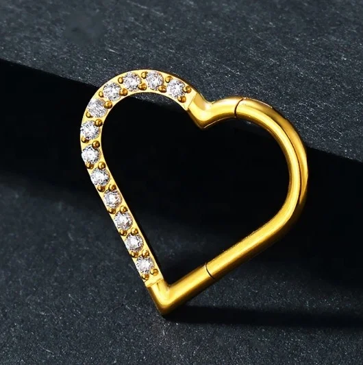 G23 Titanium Hinged Hoop Segment Sleeper Earrings Heart Shaped Zircon Nose Ring Clicker Piercings Jewelry Stainless Steel