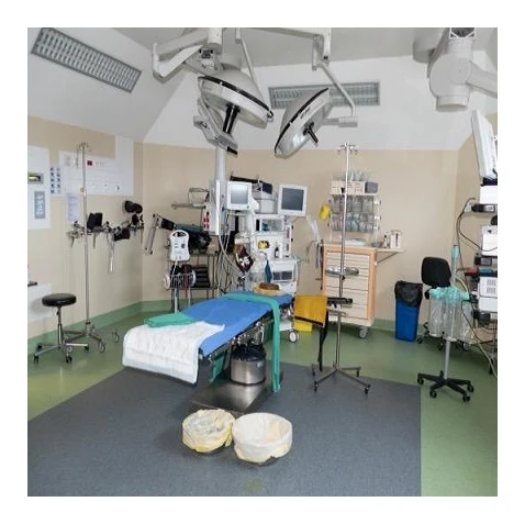 Customize The Design And Size Eco Friendly Vinyl Flooring Waterproof Pvc Esd Floor