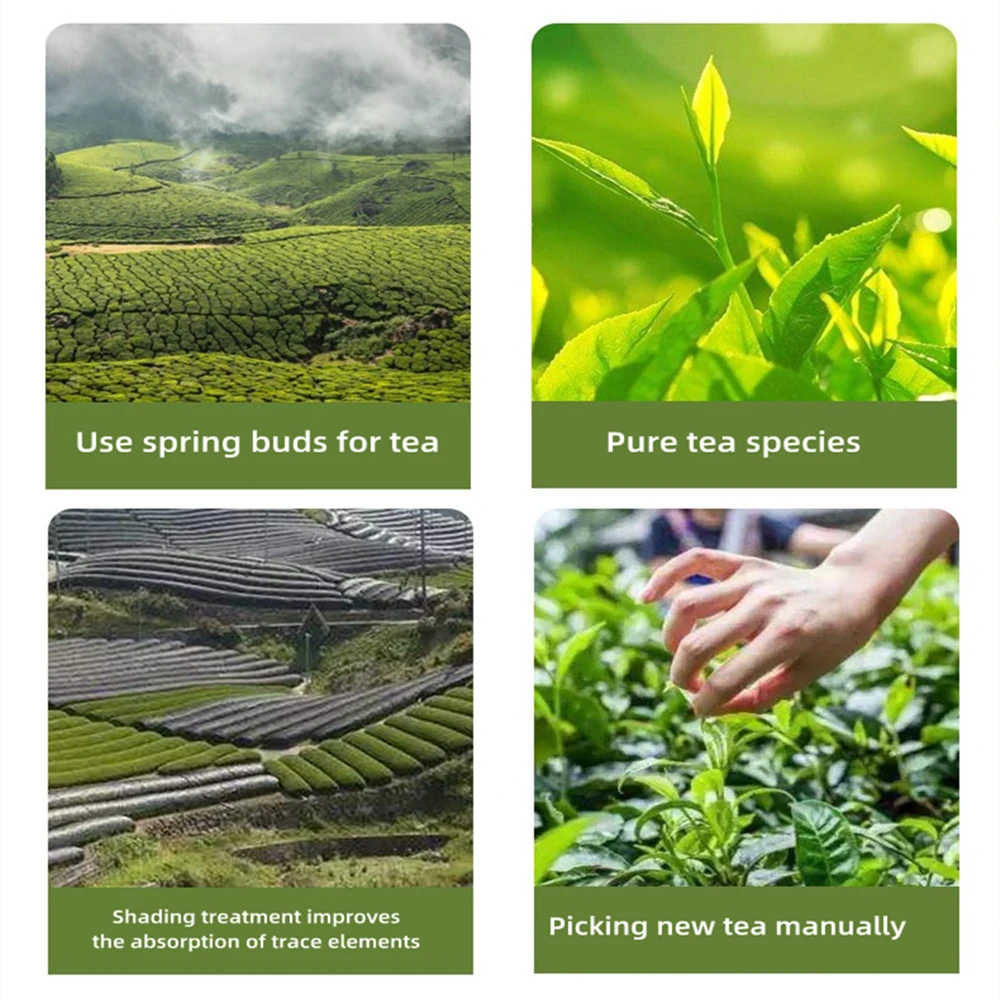 hot sale oem matcha powder chaina good for gift healthy high quality