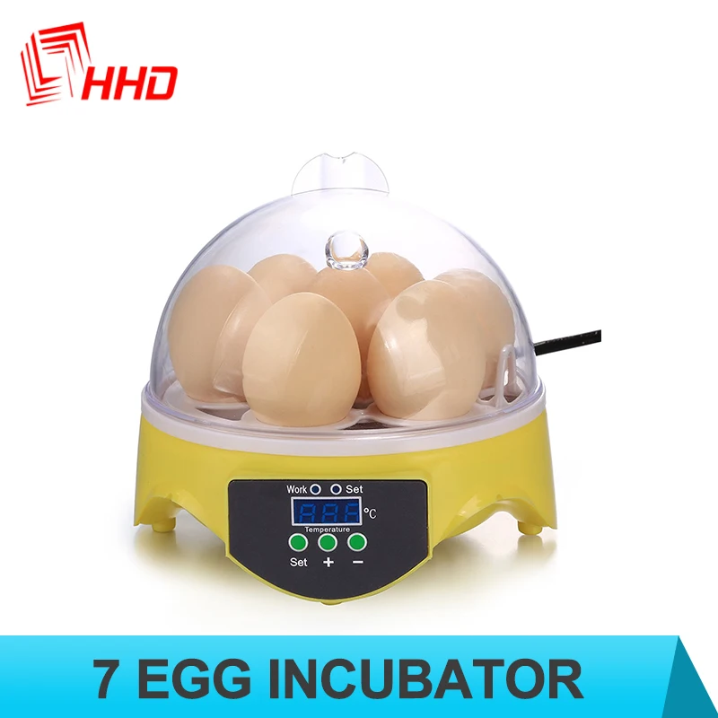 Outstanding Design 7 Eggs Incubator Small Size High Quality for Children Education