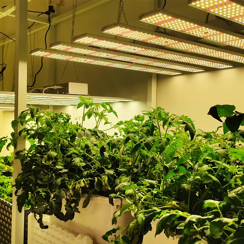 Samsung LM301H 301B 600w 800w Spider Bar Full Spectrum 660nm Indoor Plant Led 8*8ft Grow light For Vertical Farming Horticulture