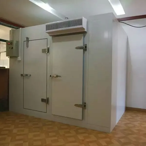 Modular Cold Room Cold Storage / sale /cold storage room for meat chiller fresh fruits and vegetables