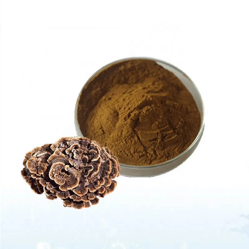 Organic Turkey Tail Suplemento Herbal Extract Powder Sample Available Mushroom Extract