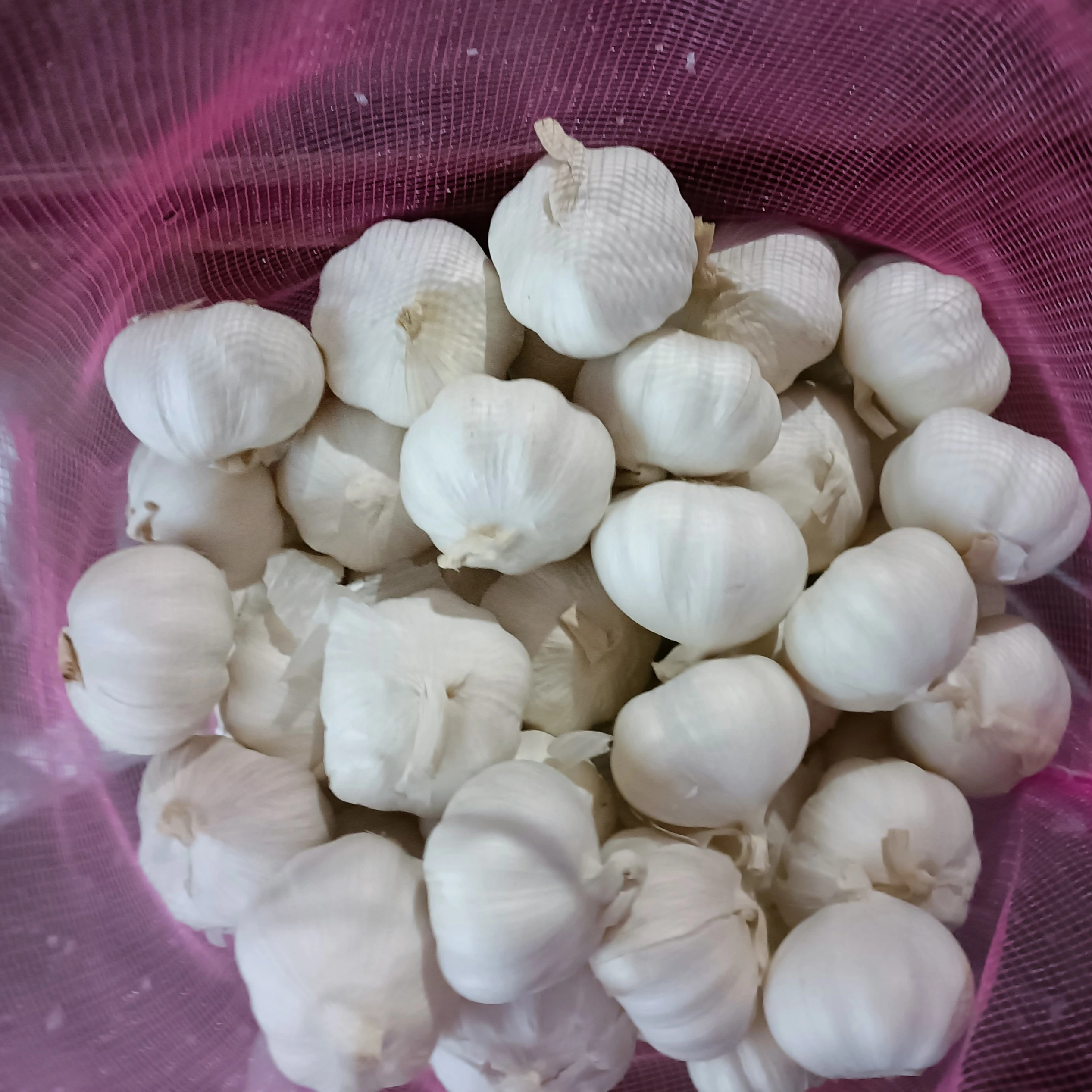 new crop fresh garlic Chinese white garlic narmal white garlic