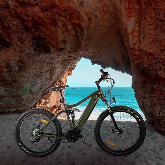 9 Speed 36V 48V 500W 1000W 14AH LCD display Full Suspension Hidden Battery Ebike Electric City Bike