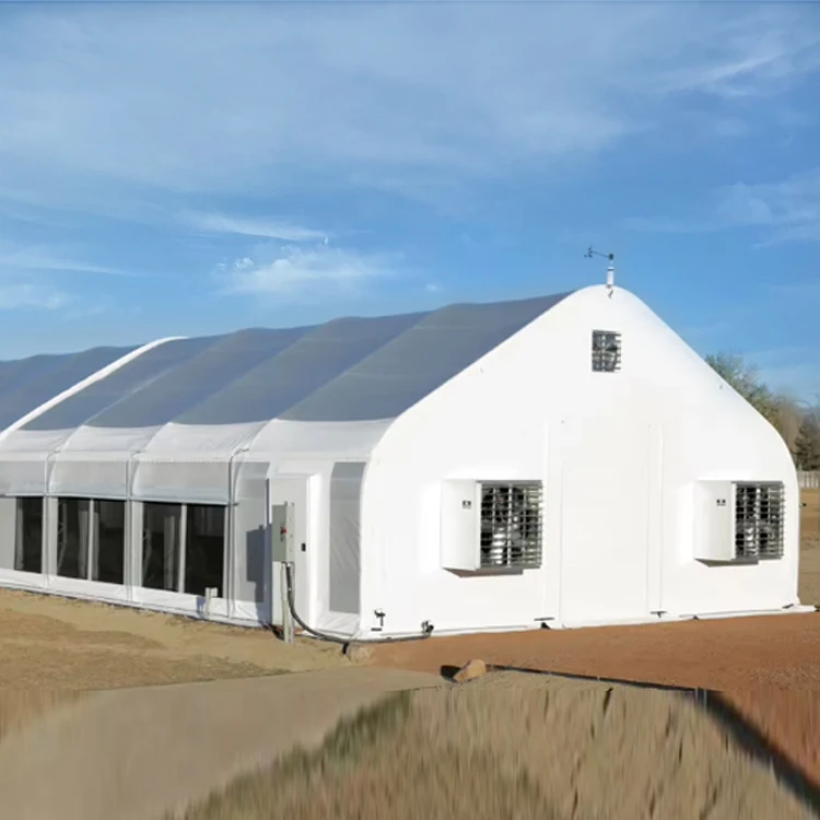 Commercial greenhouse frame single span tunnel greenhouse automated blackout Light Deprivation green house used for sale