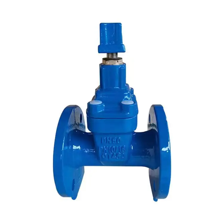 F4 Gate Valve DIN3352 DN125 GGG50 Liquid Double Flanged Gate Valve