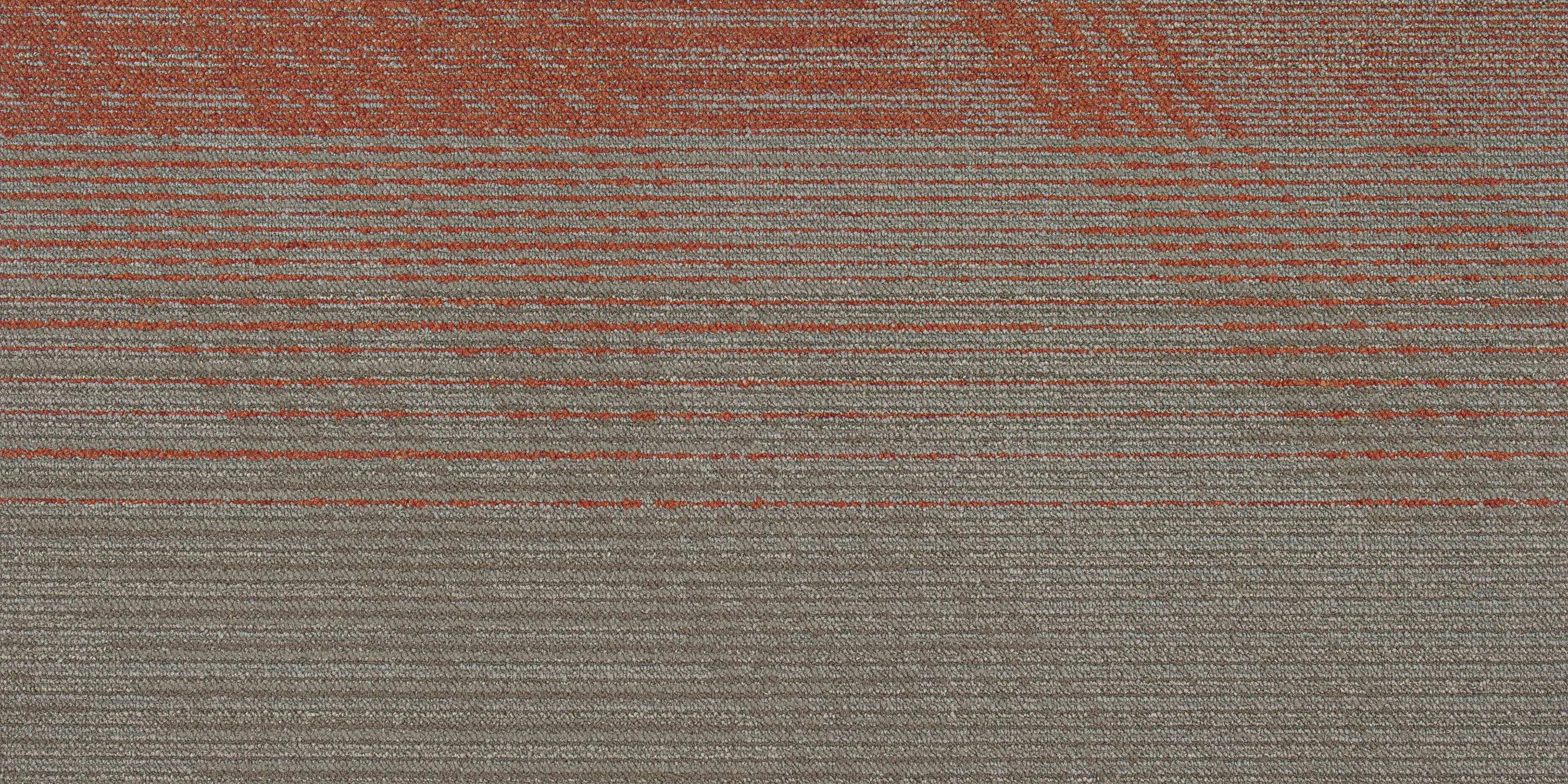 50*100cm Best Design Square Carpet Tile Floor Carpet Tile For Commerical and Residential Use 6.5mm thk