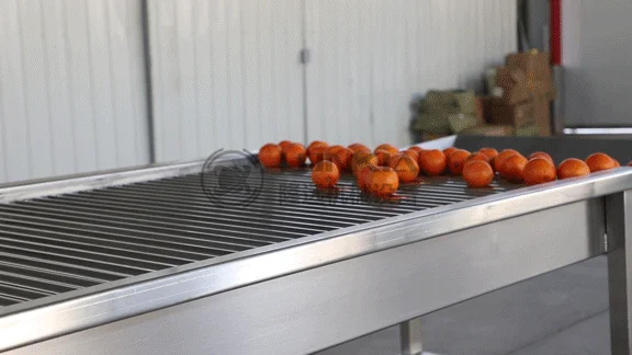 сортировочная машина из нержавеющей стали для свежей черники